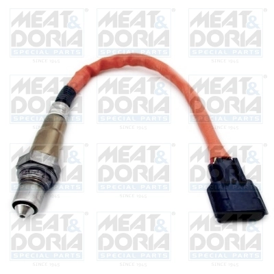 Oxygen Sensor